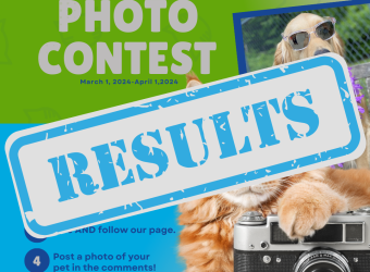 2024 GVA Photo Contest: Winners!